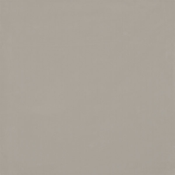 Gach Viglacera TS6 803