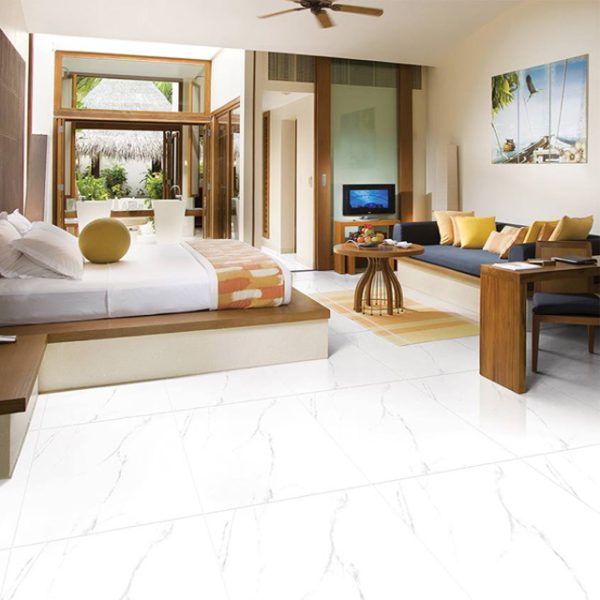 Gạch lát nền Viglacera ECO S801