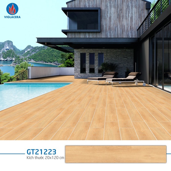 Gạch Viglacera GT21223