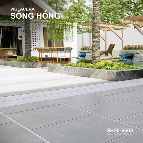 Phong mau gach lat nen Viglacera SH20-6603 anh 2