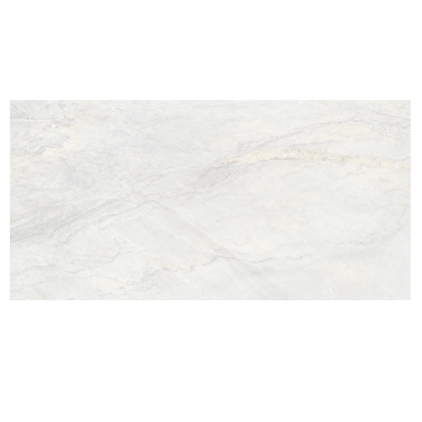 Gạch Platinum PLA CB-PT61201-TN81