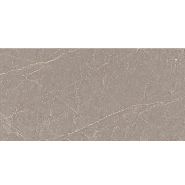 Gach Viglacera SH-CM3602