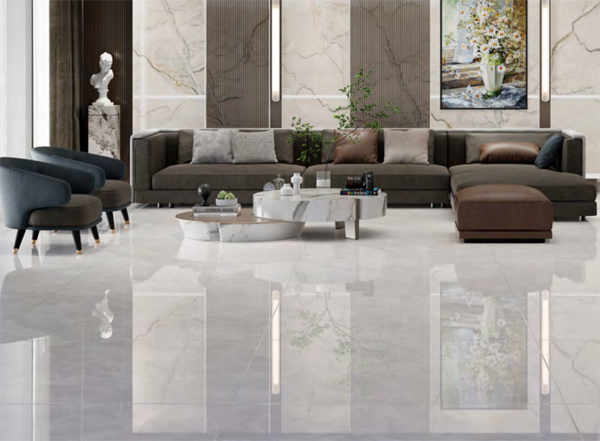 Gach Eurotile DNI S01P phong khach