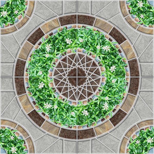 Map gach Viglacera 5526