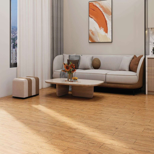 Gach Viglacera NY18 GC15906 phong mau