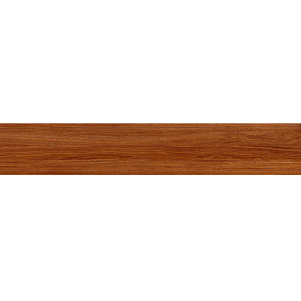 Gach Viglacera T15901