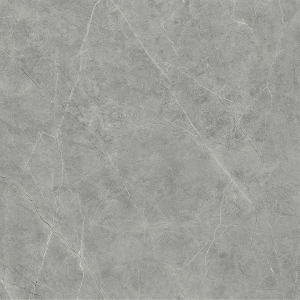 Gach Viglacera VHP6616 van da