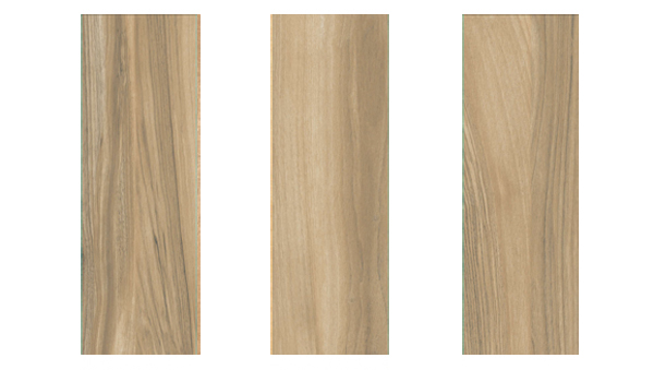 Map Viglacera LNGK15905