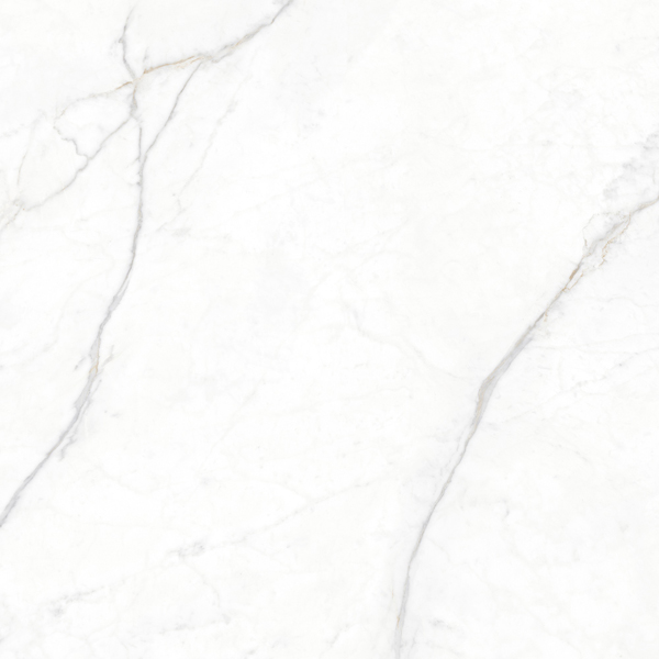 Gạch Eurotile PLA S01H