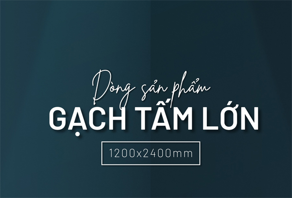 Gach kho lon 120x240