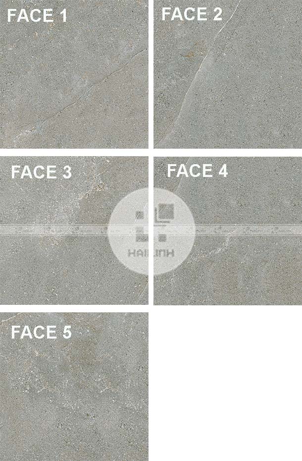 Face gạch Eurotile NGC H03