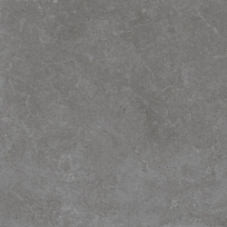 Gạch Viglacera Platinum PT 20-601
